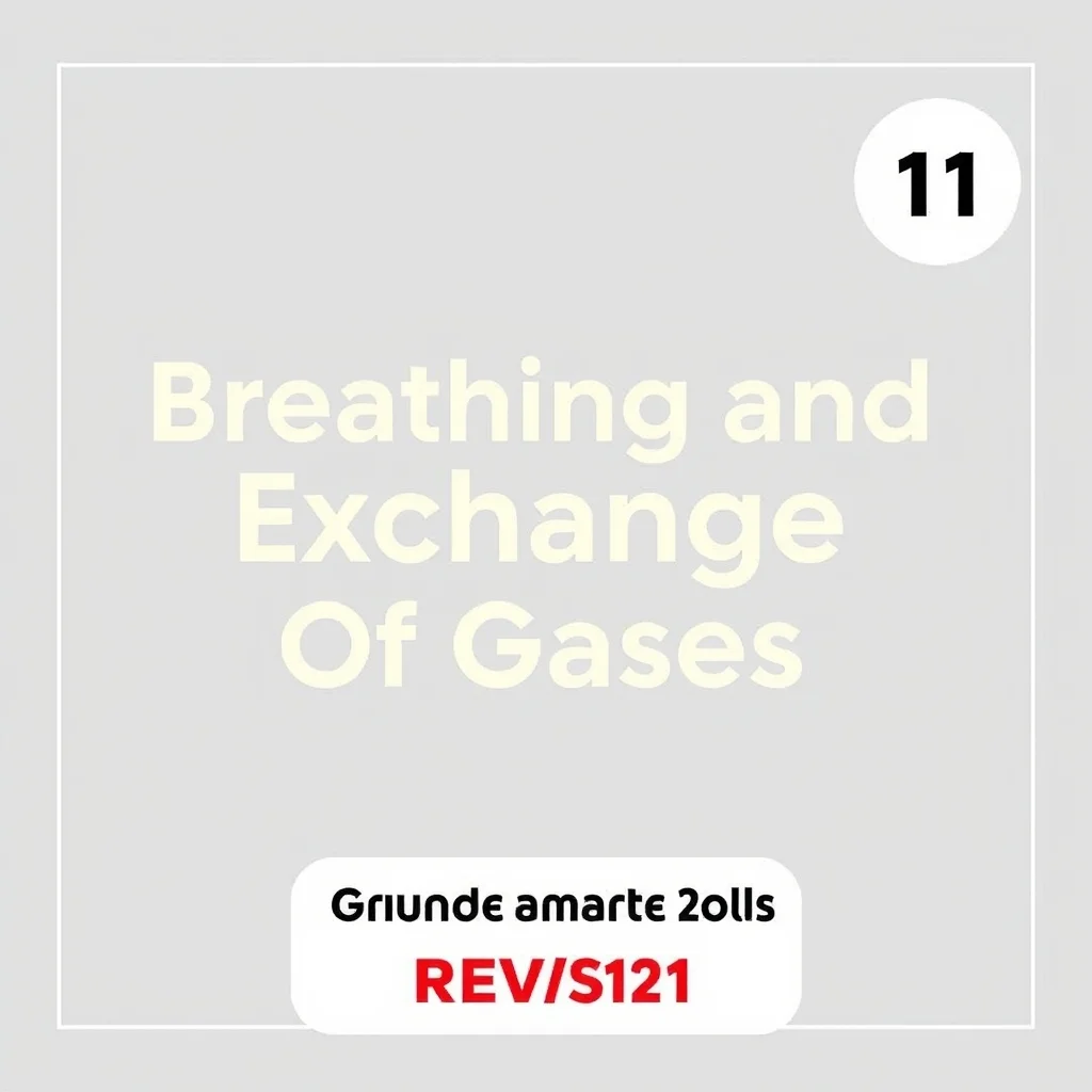 Breathing And Exchange Of Gases Class 11 Exam Prep Revision — CBSE 2026 Grandmaster Guide